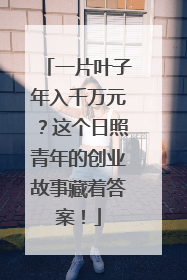 一片叶子年入千万元？这个日照青年的创业故事藏着答案！
