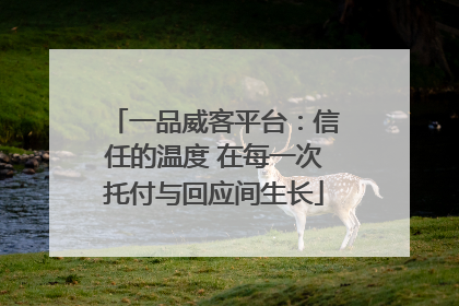 一品威客平台：信任的温度 在每一次托付与回应间生长