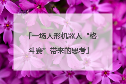 一场人形机器人“格斗赛”带来的思考