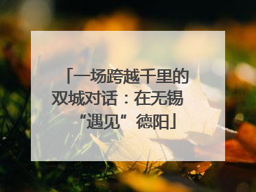 一场跨越千里的双城对话：在无锡“遇见”德阳