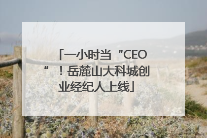 一小时当“CEO”！岳麓山大科城创业经纪人上线