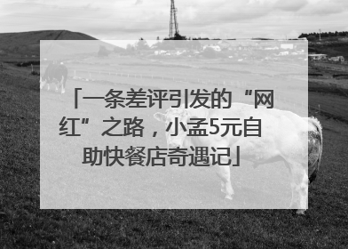 一条差评引发的“网红”之路，小孟5元自助快餐店奇遇记