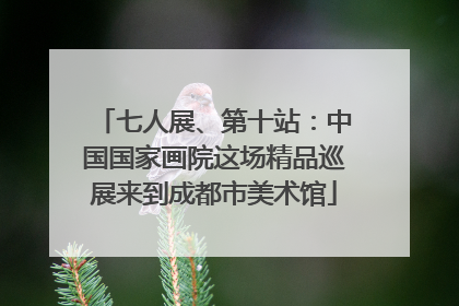 七人展、第十站：中国国家画院这场精品巡展来到成都市美术馆