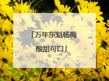 万年东魁杨梅 酸甜可口
