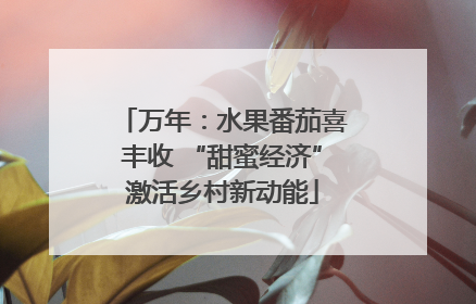 万年：水果番茄喜丰收 “甜蜜经济”激活乡村新动能