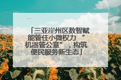 三亚崖州区数智赋能管住小微权力 “机器管公章”，构筑便民服务新生态