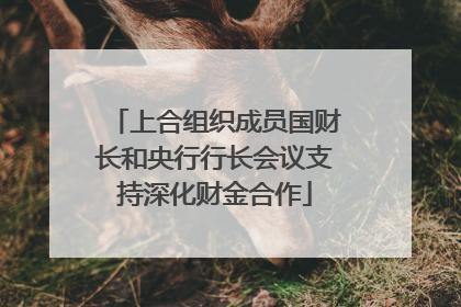 上合组织成员国财长和央行行长会议支持深化财金合作