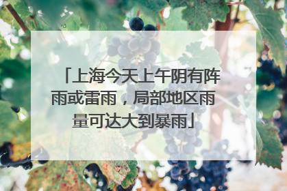 上海今天上午阴有阵雨或雷雨，局部地区雨量可达大到暴雨