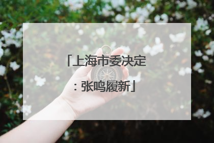 上海市委决定：张鸣履新