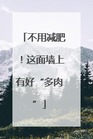 不用减肥！这面墙上有好“多肉”