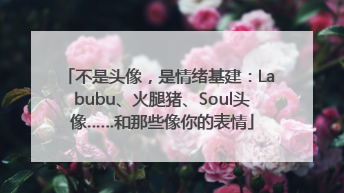 不是头像，是情绪基建：Labubu、火腿猪、Soul头像……和那些像你的表情