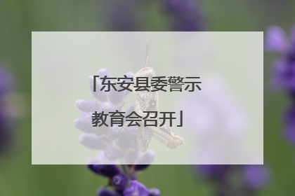 东安县委警示教育会召开