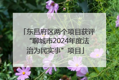 东昌府区两个项目获评“聊城市2024年度法治为民实事”项目