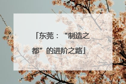 东莞：“制造之都”的进阶之路