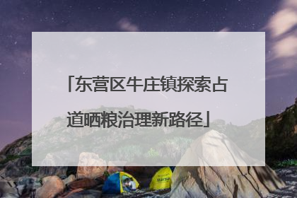 东营区牛庄镇探索占道晒粮治理新路径