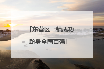 东营区一镇成功跻身全国百强