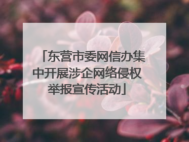 东营市委网信办集中开展涉企网络侵权举报宣传活动