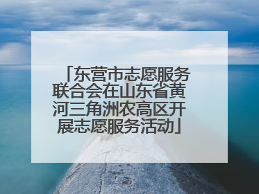 东营市志愿服务联合会在山东省黄河三角洲农高区开展志愿服务活动