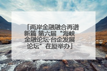 两岸金融融合再谱新篇 第六届“海峡金融论坛·台企发展论坛”在厦举办