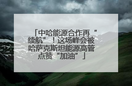 中哈能源合作再“续航”！这场峰会被哈萨克斯坦能源高管点赞“加油”