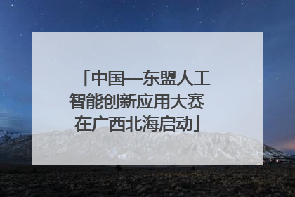 中国—东盟人工智能创新应用大赛在广西北海启动