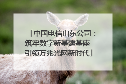 中国电信山东公司：筑牢数字新基建基座 引领万兆光网新时代