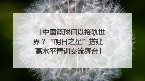 中国篮球何以接轨世界？“明日之星”搭建高水平青训交流舞台