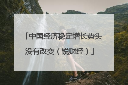 中国经济稳定增长势头没有改变（锐财经）