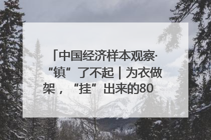 中国经济样本观察·“镇”了不起｜为衣做架，“挂”出来的80亿元“衣架产业”