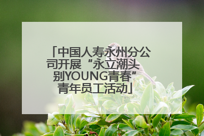 中国人寿永州分公司开展“永立潮头 别YOUNG青春”青年员工活动