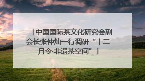 中国国际茶文化研究会副会长张仲灿一行调研“十二月令·非遗茶空间”