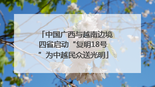 中国广西与越南边境四省启动“复明18号”为中越民众送光明