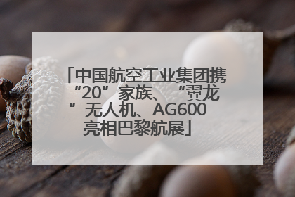 中国航空工业集团携“20”家族、“翼龙”无人机、AG600亮相巴黎航展