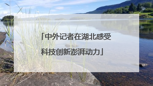 中外记者在湖北感受科技创新澎湃动力