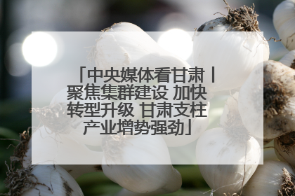 中央媒体看甘肃丨聚焦集群建设 加快转型升级 甘肃支柱产业增势强劲