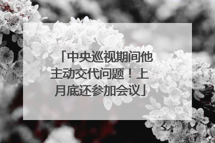 中央巡视期间他主动交代问题！上月底还参加会议
