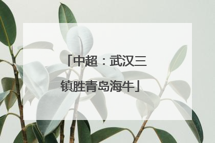 中超：武汉三镇胜青岛海牛