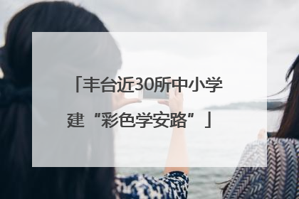 丰台近30所中小学建“彩色学安路”