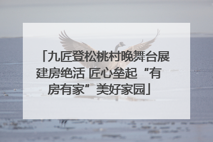 九匠登松桃村晚舞台展建房绝活 匠心垒起“有房有家”美好家园