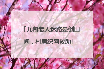 九旬老人迷路晕倒田间，村居织网救助