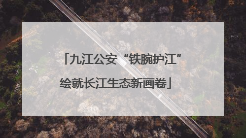 九江公安“铁腕护江”绘就长江生态新画卷