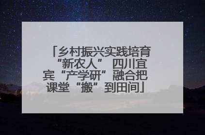 乡村振兴实践培育“新农人” 四川宜宾“产学研”融合把课堂“搬”到田间