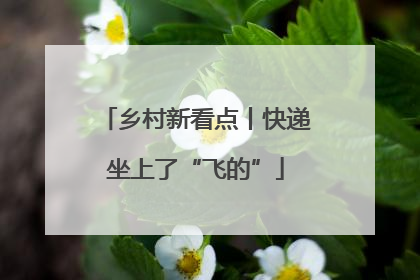 乡村新看点丨快递坐上了“飞的”