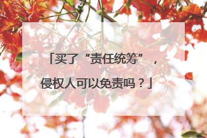 买了“责任统筹”，侵权人可以免责吗？
