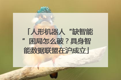 人形机器人“缺智能”困局怎么破？具身智能数据联盟在沪成立