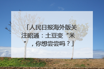人民日报海外版关注昭通：土豆变“米”，你想尝尝吗？