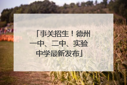 事关招生！德州一中、二中、实验中学最新发布