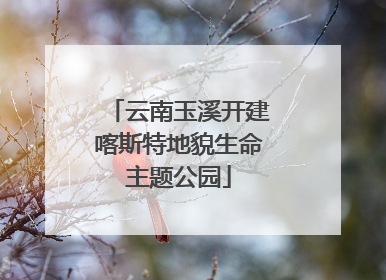云南玉溪开建喀斯特地貌生命主题公园