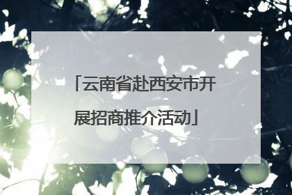 云南省赴西安市开展招商推介活动