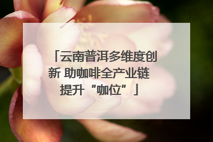 云南普洱多维度创新 助咖啡全产业链提升“咖位”